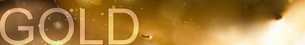Honorarklasse Gold